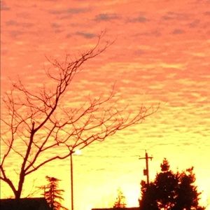 Meet your Posher, Rosa